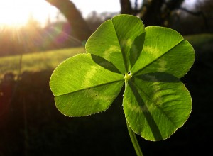 La sérendipité peut être une chance